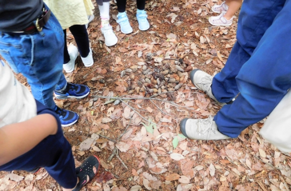 ラシクの特徴１