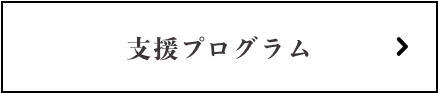 支援プラグラム