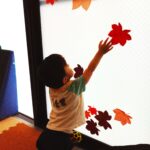 紅葉に手を伸ばす